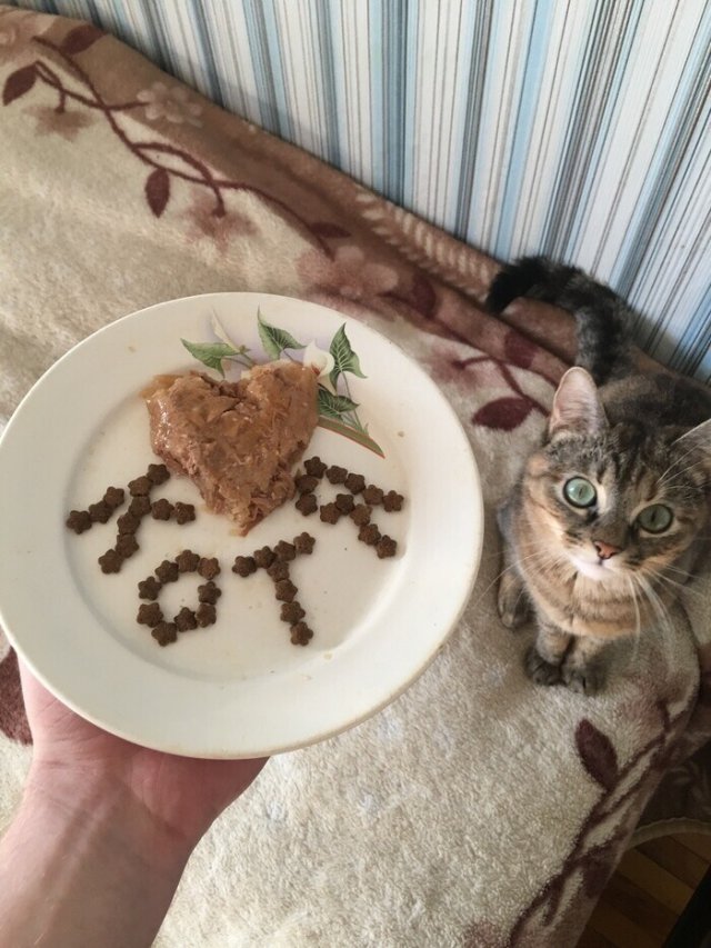 Шутки про День святого Валентина Шутки про День святого Валентина позитив,смешные картинки,юмор