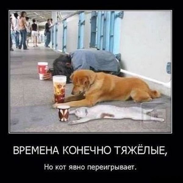 Смешные демотиваторы: «Минздрав в недоумении» 