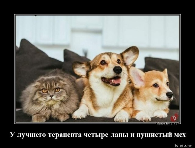 Смешные демотиваторы: «Минздрав в недоумении» 