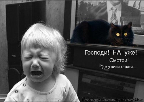 Лучшая котоматрица недели