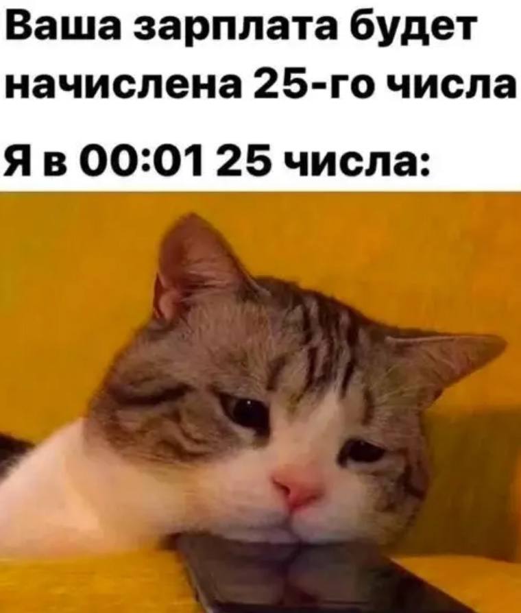 Смешные картинки и мемы про работу за день до выходных Смешные картинки и мемы про работу за день до выходных