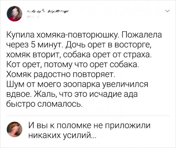 Подборка забавных комментариев Подборка забавных комментариев