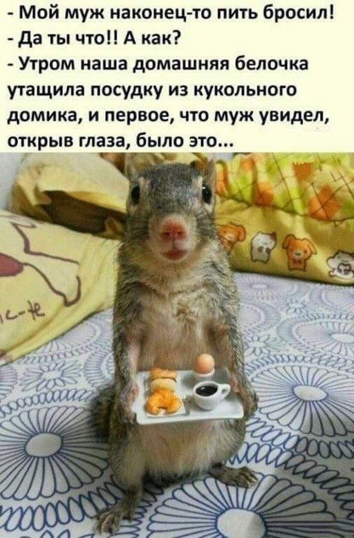 Алкогольный юмор! Алкогольный юмор! позитив,смешные картинки,юмор