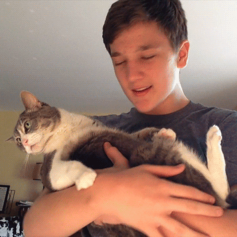 Зачетные и смешные гифки Зачетные и смешные гифки