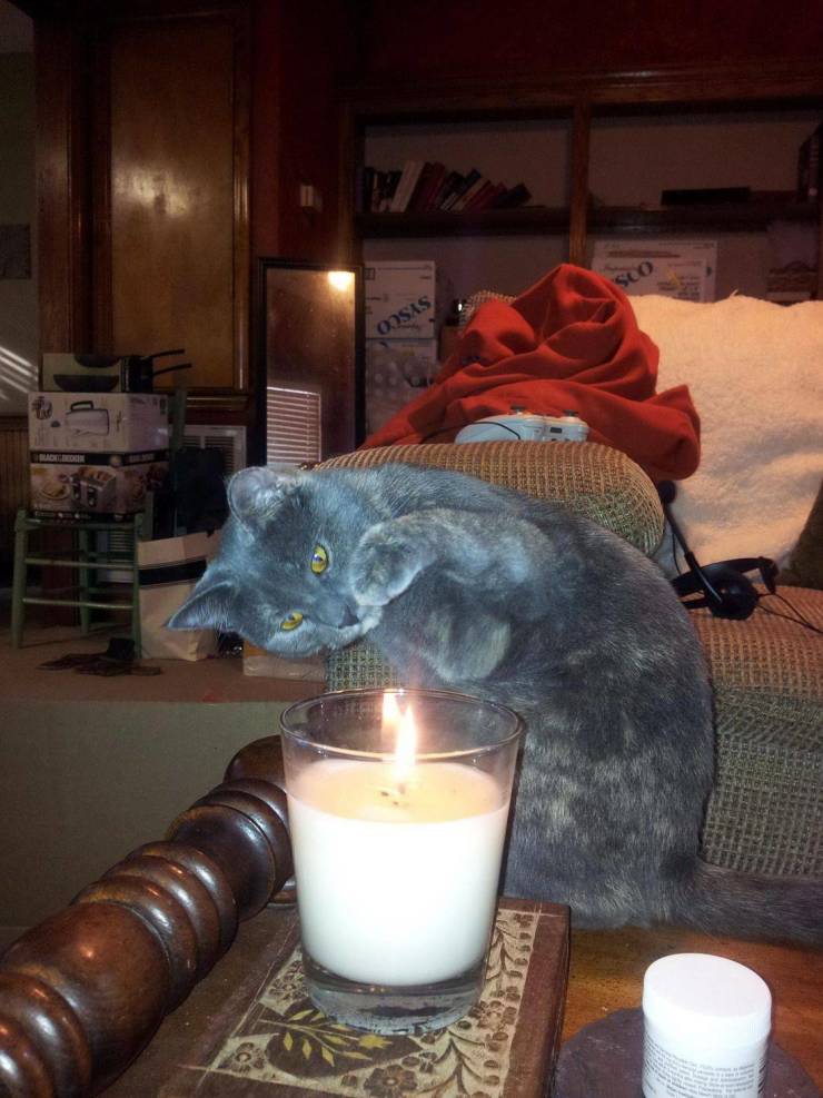 Подборка прикольных картинок Подборка прикольных картинок приколы,смешные картинки,юмор