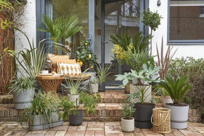 15 идей, как при минимальных затратах обустроить небольшой сад для дома и дачи,идеи и вдохновение