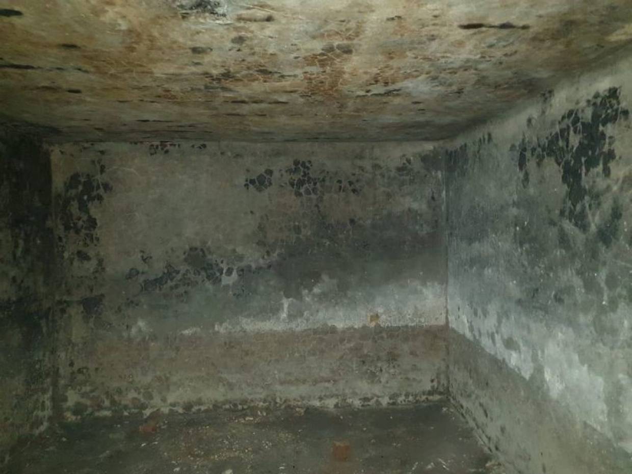 Таинственные катакомбы обнаружили под новочеркасской школой Таинственные катакомбы обнаружили под новочеркасской школой Общество