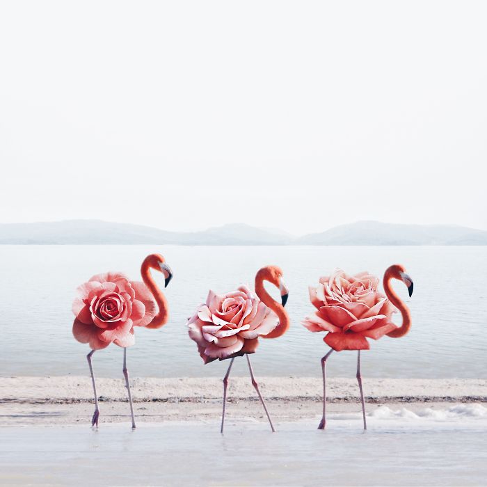 Surreal Art By Luisa Azevedo