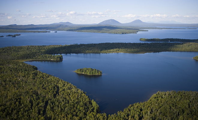Мужчина больше 20 лет жил в лесу и не разговаривал ни с кем из людей, пока его искала полиция Мужчина больше 20 лет жил в лесу и не разговаривал ни с кем из людей, пока его искала полиция Культура