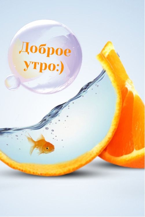 Юмор из сети: лучшая подборка 