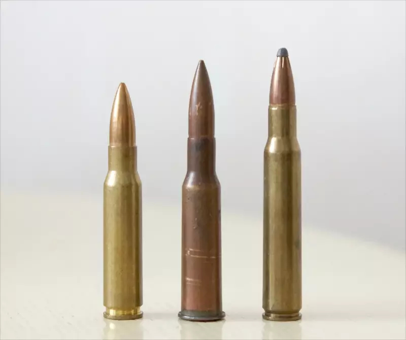 Дальний ноль. Сравнение патронов калибра 7,62х54R и .308 Winchester Дальний ноль. Сравнение патронов калибра 7,62х54R и .308 Winchester оружие