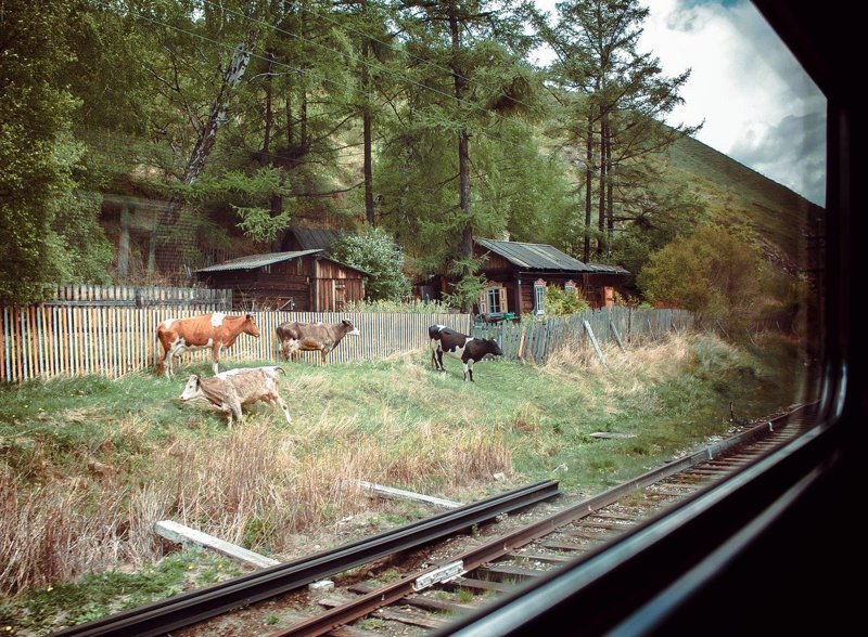 Скукота. ПОЕЗДАтая подборка Скукота. ПОЕЗДАтая подборка поездка