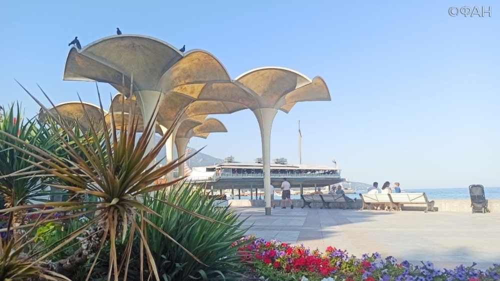 Ялта расцвела после потопа: в курортной столице Крыма высадили тысячи цветов