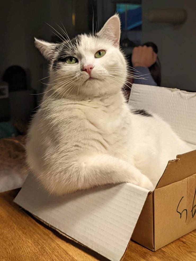 Подборка прикольных картинок Подборка прикольных картинок приколы,смешные картинки,юмор