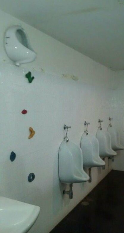 20 прикольных идей, чтобы отказаться от телефона в туалете 