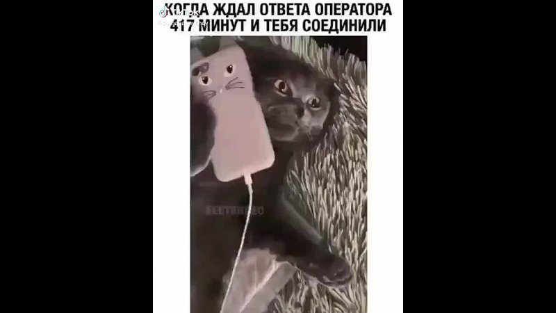 Video: Клип @donetskdnr_vk