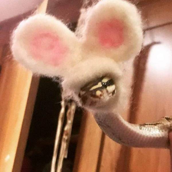 Подборка прикольных картинок Подборка прикольных картинок приколы,смешные картинки,юмор