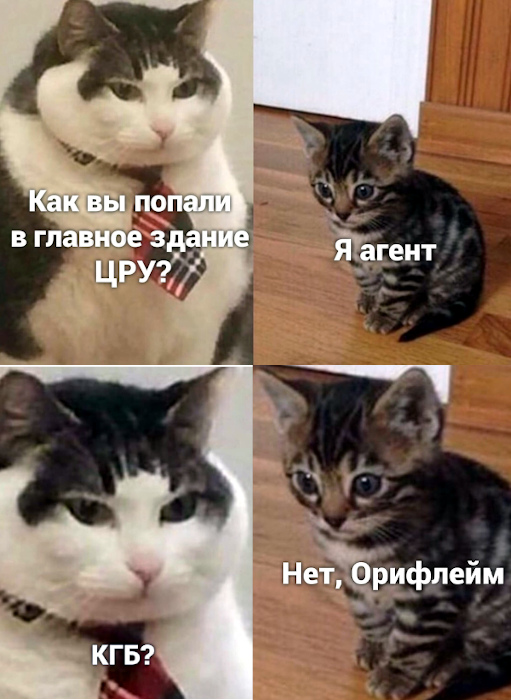 изображение: - Как вы попали в главное здание ЦРУ? - Я агент. - КГБ? - Орифлейм #Котоматрицы