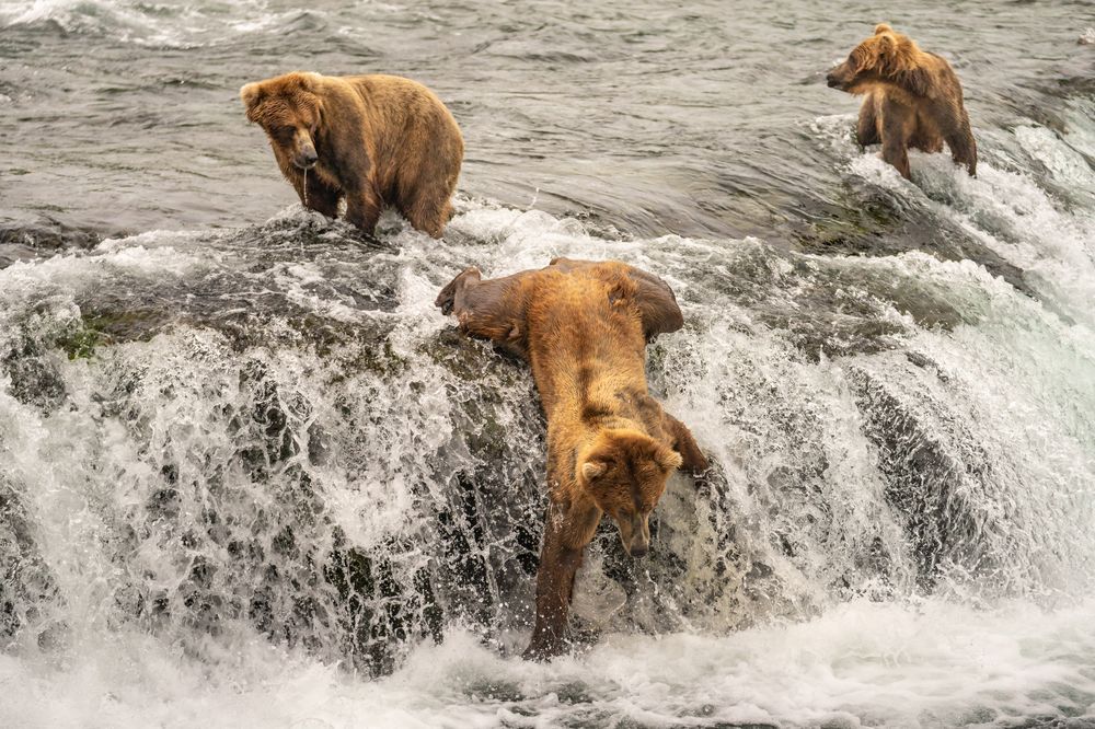 Мир глазами победителей конкурса National Geographic Photo Contest 2018 26