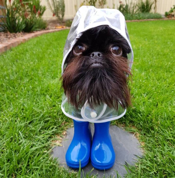 Подборка прикольных картинок Подборка прикольных картинок приколы,смешные картинки,юмор