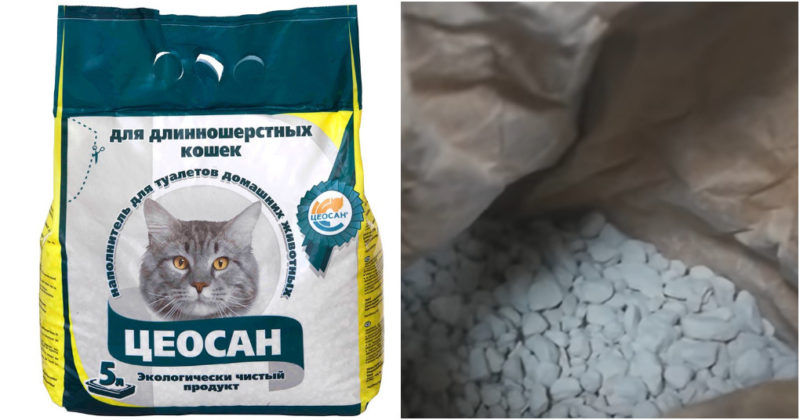 Полифам инструкция. Полифам порошок. Полиф. Полифам лекарство инструкция порошок отзывы.