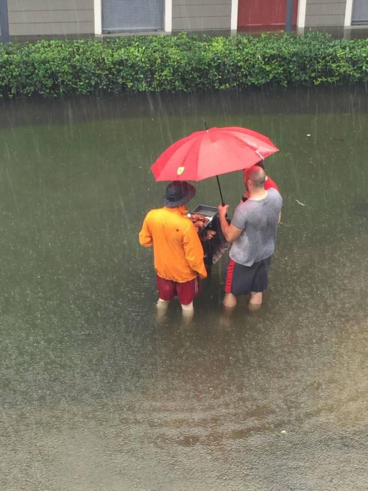 Подборка прикольных картинок Подборка прикольных картинок приколы,смешные картинки,юмор