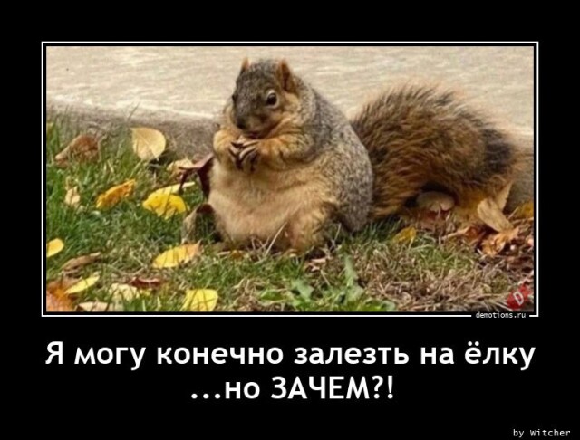 Демотиваторы для позитива 