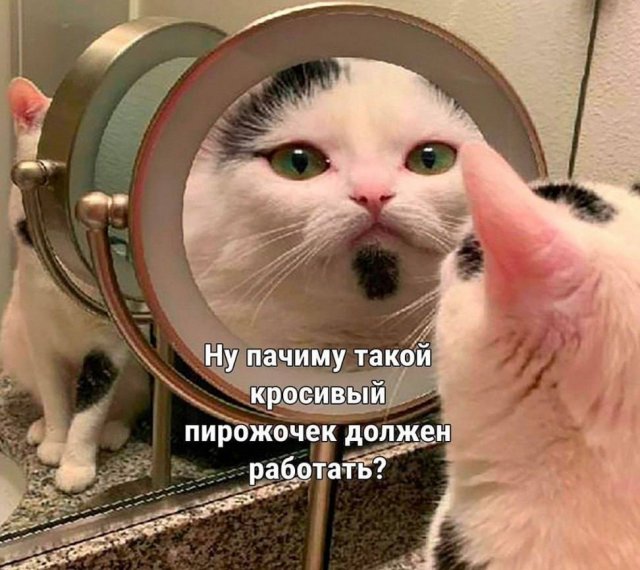 Именно чайники развивают самую кипучую деятельность  