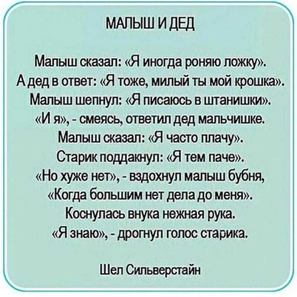 У меня нет врагов, поэтому ужин я хомячу сам У меня нет врагов, поэтому ужин я хомячу сам анекдоты,веселье,демотиваторы,приколы,смех,юмор