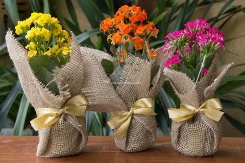 Чудесные идеи из мешковины, которые идеально подходят для растений декор,для дома и дачи,идеи и вдохновение
