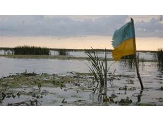 Семь лет мерзости и запустения. Как Украина дважды потеряла государство