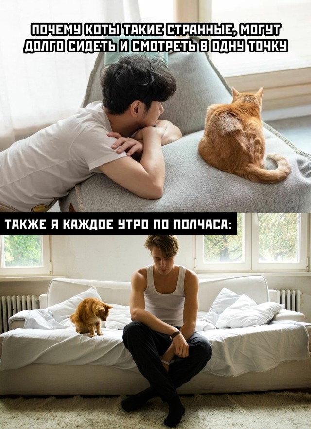 Подборка прикольных картинок Подборка прикольных картинок приколы,смешные картинки,юмор