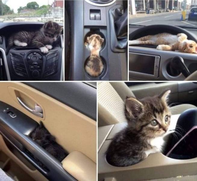 Подборка картинок. Вечерний выпуск Подборка картинок. Вечерний выпуск приколы,смешные картинки,юмор