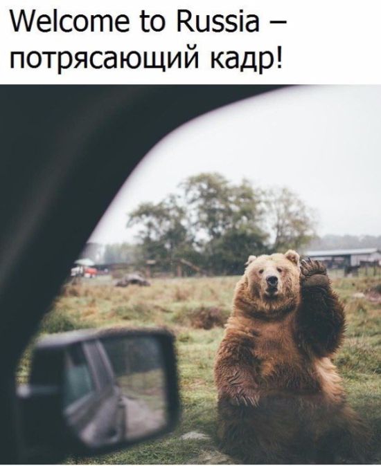 1484509454_83