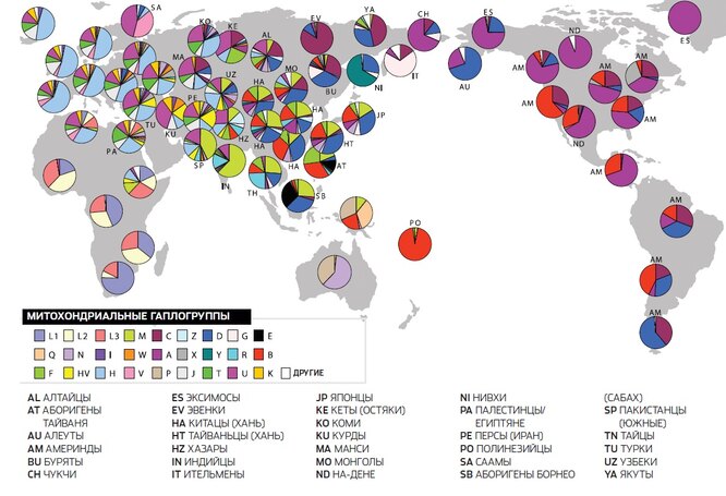 Вплоть до Евы: генеалогия человечества по женской линии линии, мтДНК, можно, гаплогруппы, генов, гаплогрупп, всего, намного, только, нуклеотида, которые, по женской, когда, около, маркеров, больше, тысяч, мутаций, племена, примерно