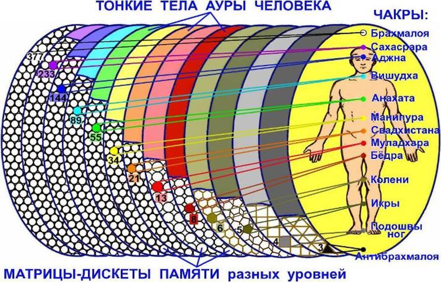 Тонкие тела человека. Энергетические центры человека тонкие тела и физическое тело. Структура тонких тел человека. Чакры энергетические центры тонких тел. Тонкие энергетические тела.