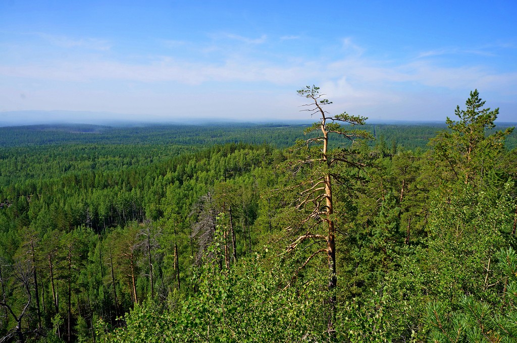 В таёжном краю.jpg