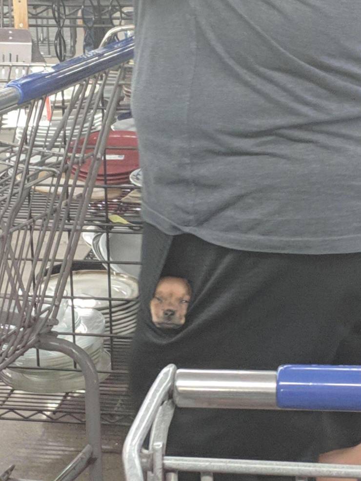 Подборка прикольных картинок Подборка прикольных картинок приколы,смешные картинки,юмор