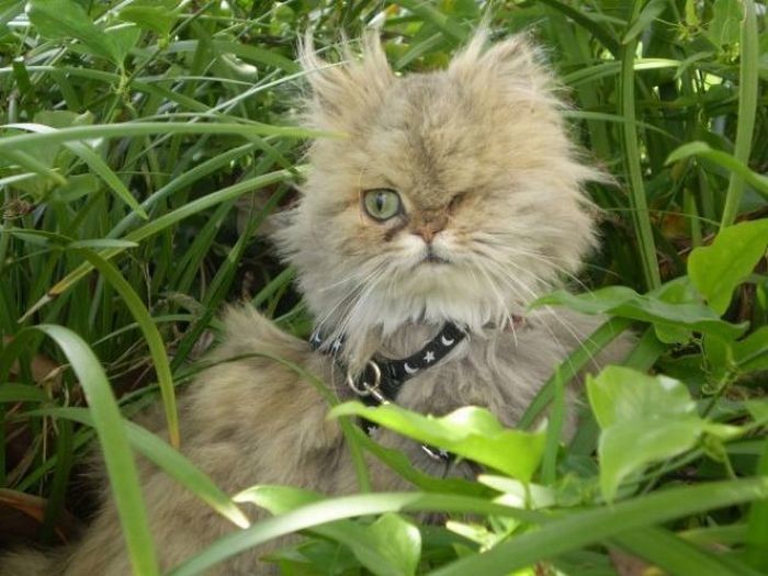 Улыбательные картинки картинки, прикол., фото