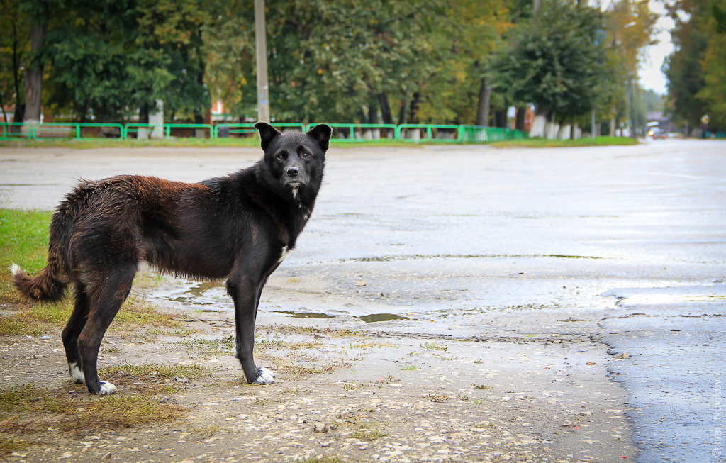 Юрино. Замок Шереметевых автотуризм
