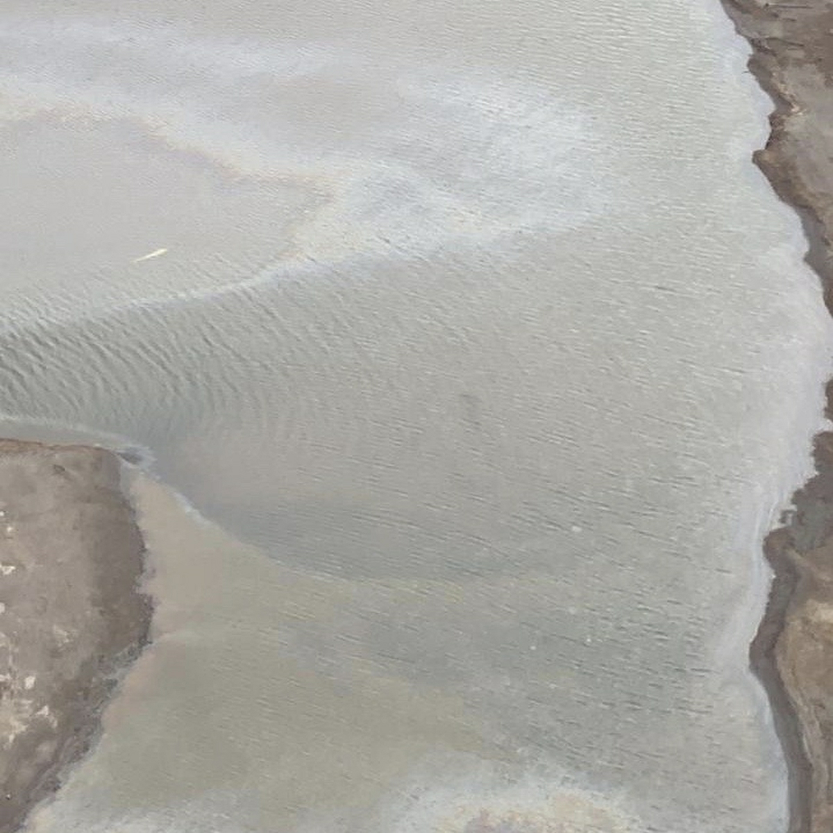 Нефтяное пятно появилось на поверхности реки Яузы в центре Москвы