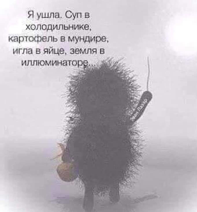 Лучшие анекдоты и шуточки дня: веселая подборочка! 