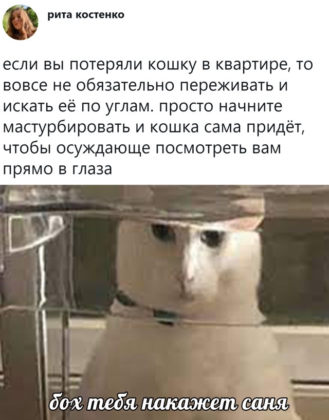 Подборка прикольных картинок Подборка прикольных картинок приколы,смешные картинки,юмор