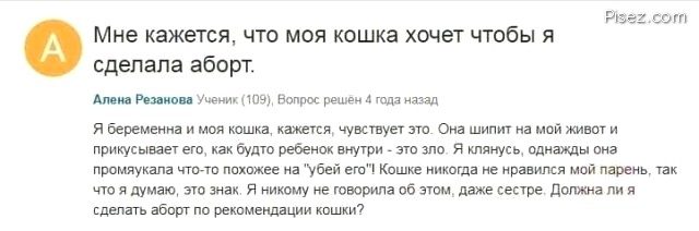 Шокирующие женские комментарии. Ужасная бабсятина Шокирующие женские комментарии. Ужасная бабсятина картинки,позитив