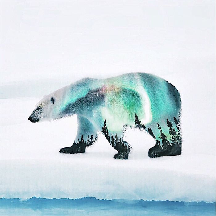 Surreal Art By Luisa Azevedo