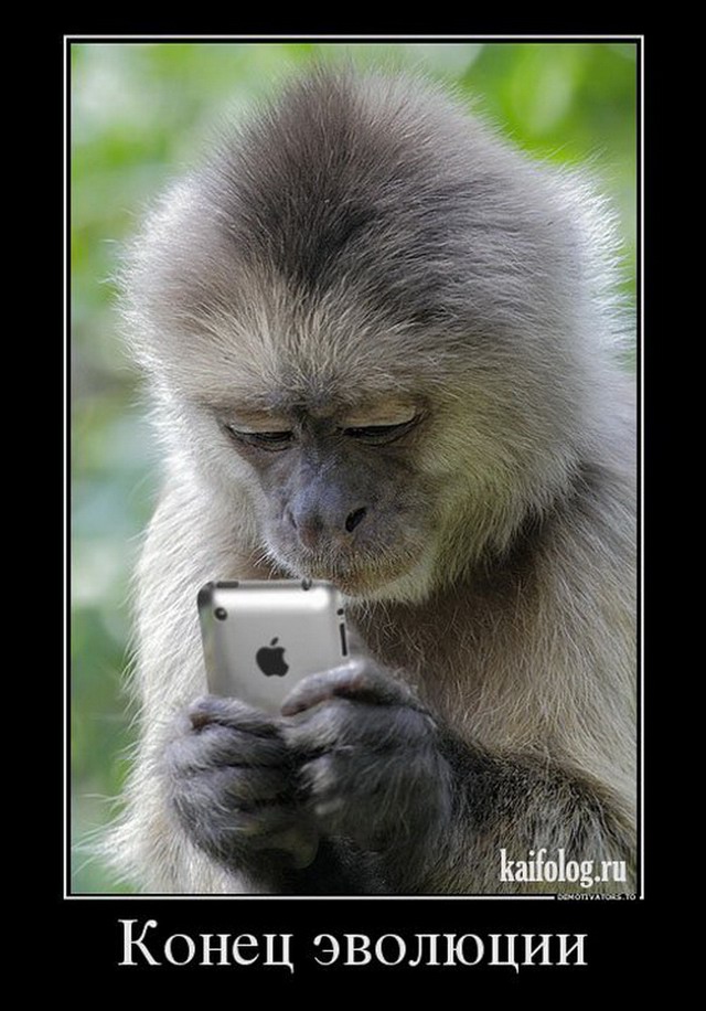 Веселые картинки для зарядки позитивчиком с утра Веселые картинки для зарядки позитивчиком с утра