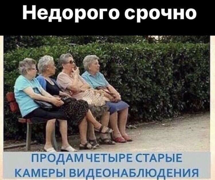 - Должен тебе признаться, что единственный мой недостаток - это искренность, моя ты кривоногая толстушка! - Должен тебе признаться, что единственный мой недостаток - это искренность, моя ты кривоногая толстушка! анекдоты,демотиваторы,приколы,юмор