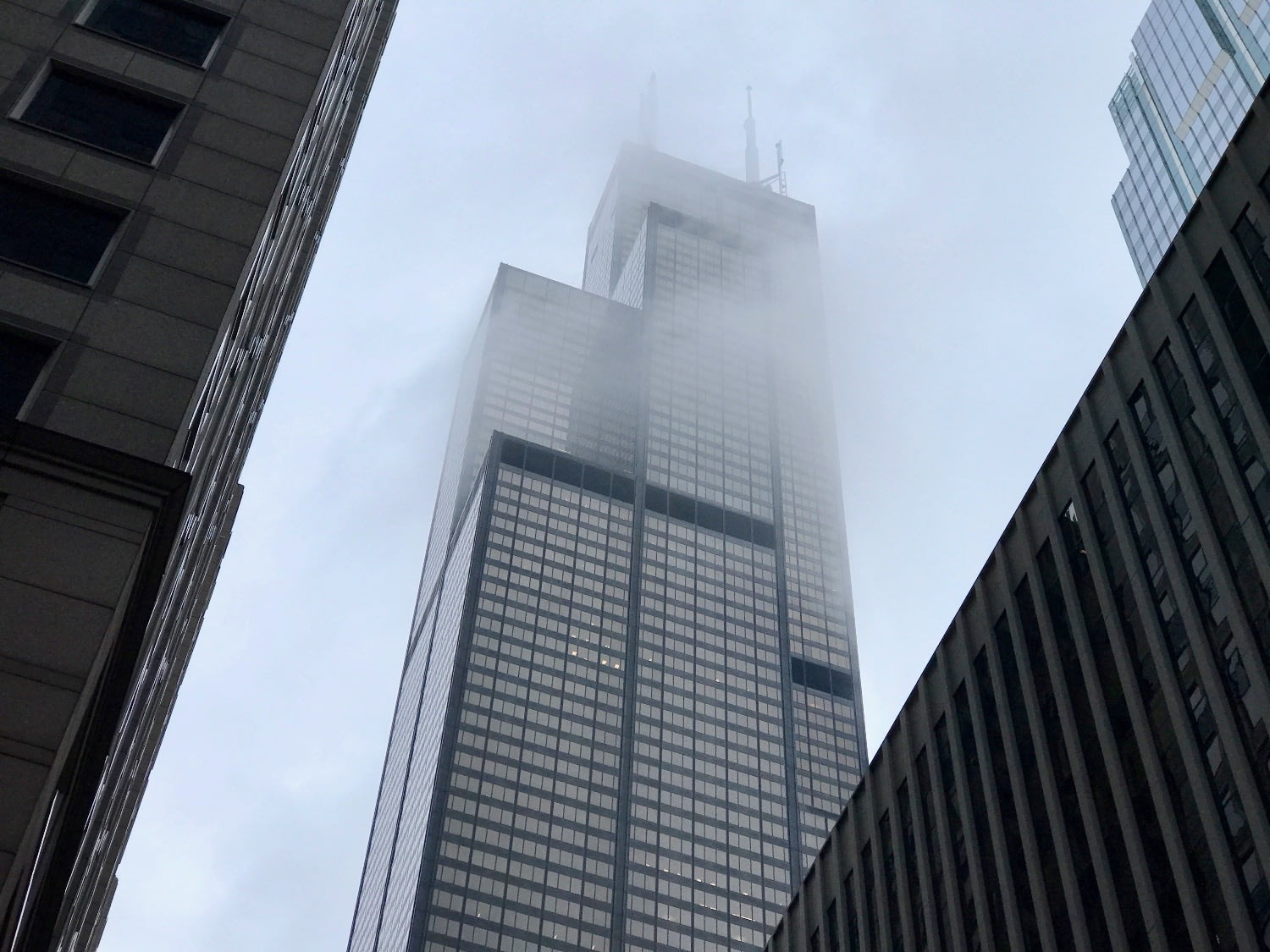 Что общего между Чикаго и Петербургом заграница,страны,туризм