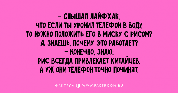 Первосортные анекдоты, которые вы захотите рассказать друзьям