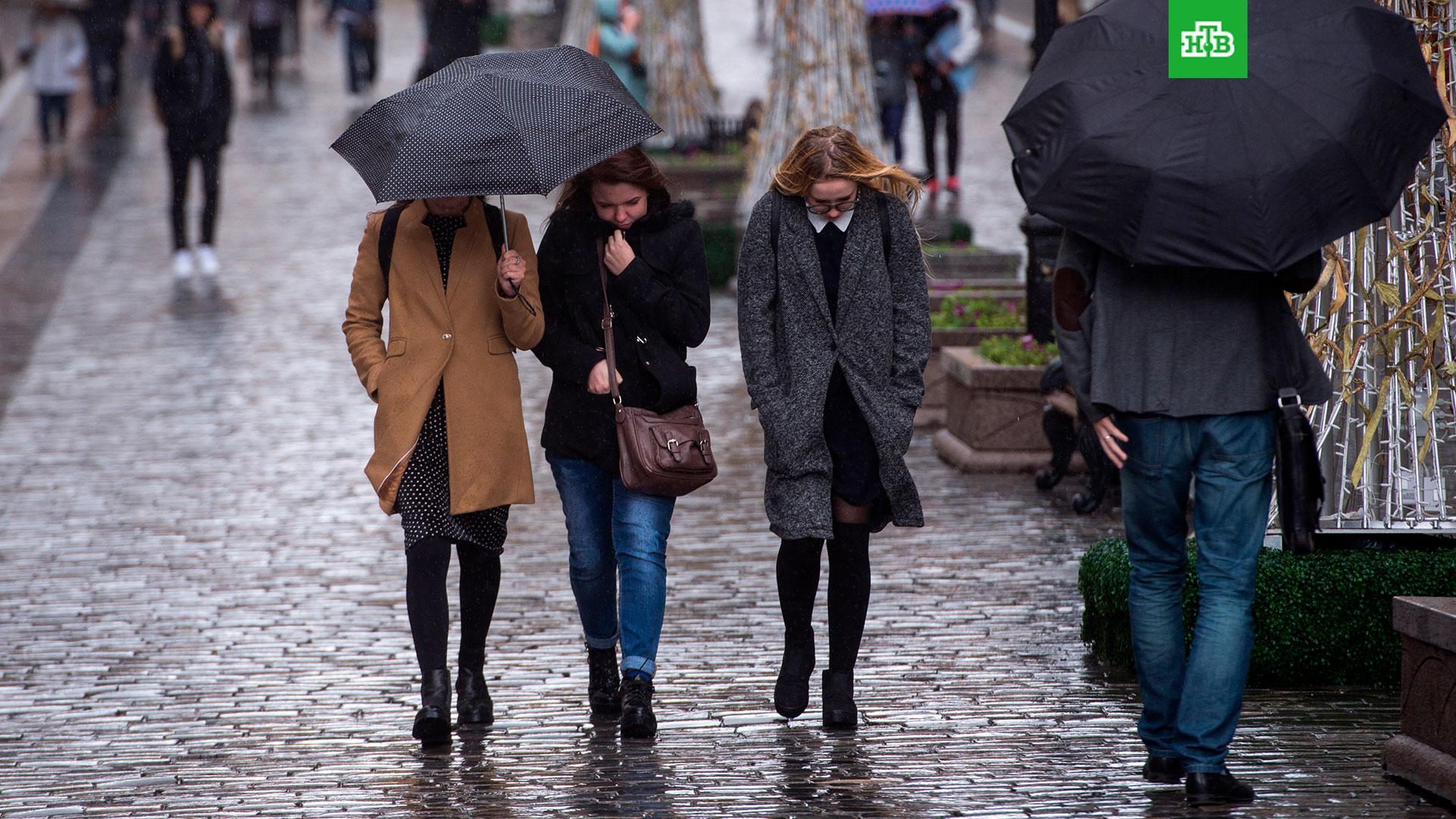 Холодное лето в москве. Дождливый день. Люди на улице осенью. Осень дождь прохожие. Люди в городе осенью.